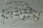 Tortue 3